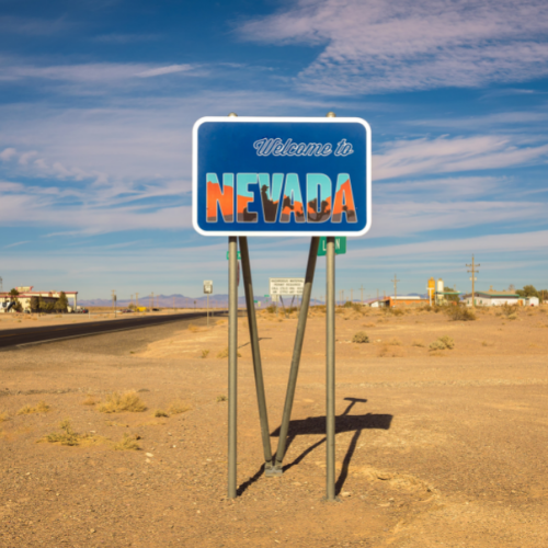 Welcome to Nevada sign in desert
